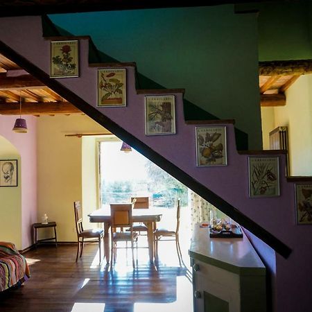 Penzion La Casina Di Giannetto Seggiano Exteriér fotografie