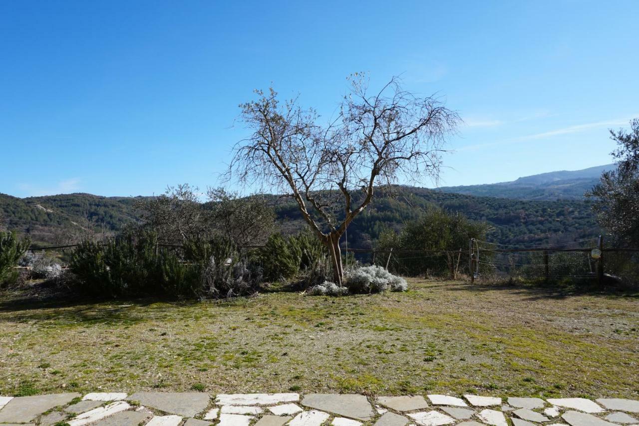 Penzion La Casina Di Giannetto Seggiano Exteriér fotografie